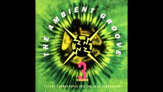 Flux (Maarten van der Vleuten) - Expanding Universe (The Ambient Groove - ESP Volume 3, 1993)
