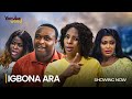 IGBONA ARA- Latest 2024 Yoruba Movie Drama Starring; Adebayo Salami, Femi Adebayo, Aisha Lawal