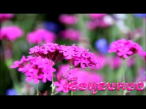 Keo Montha - Thaeb Oun Mok Bong - ថើបអូនមកបង