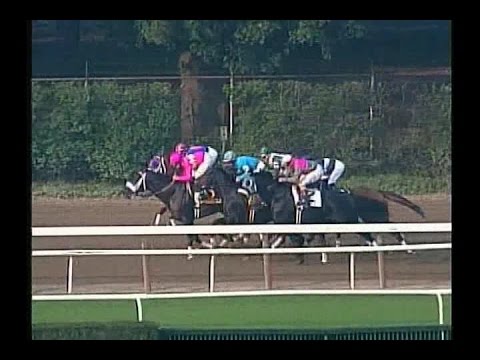 2001 Vosburgh Stakes