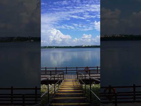 Aquarius By The Park, 15 Bedok Reservoir View, 3 Bedrooms, 1,323 sqft, Condominium For Sale, by Teddy Ng Yu Ming, 500214991 - PropertyGuru.com.sg