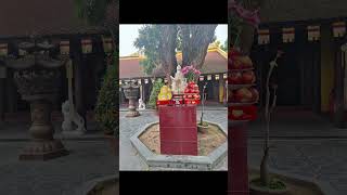 #하노이벽화거리 #풍흥벽화거리 #하노이골목 #올드쿼터 #베트남감성 #거리감성 #여행에미치다_베트남 #Hano…