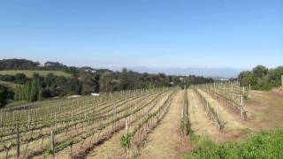 preview picture of video 'Constantia Glen Wine Farm'