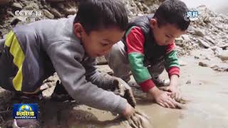 [問卦] 中國光纖到府規模世界第一