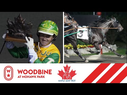2019 Maple Leaf Trot Final: Woodbine At Mohawk Park, August 31, 2019 - Race 5