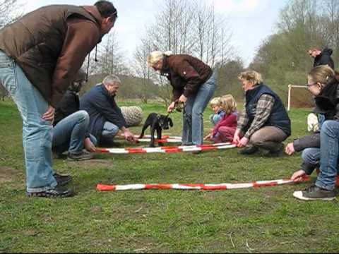 14.04.2012 Sozialisierung