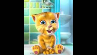 Il gatto puzzolone yeaaaaaa