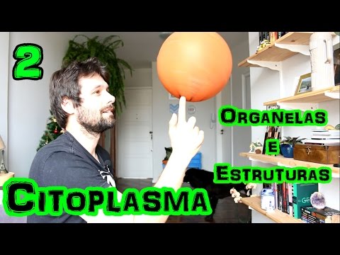 Organelas Citoplasmáticas (Parte 2) - Citoplasma