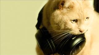 Musikk feat John Rock - Love Changes Everything (Vinylshakerz Club Mix)