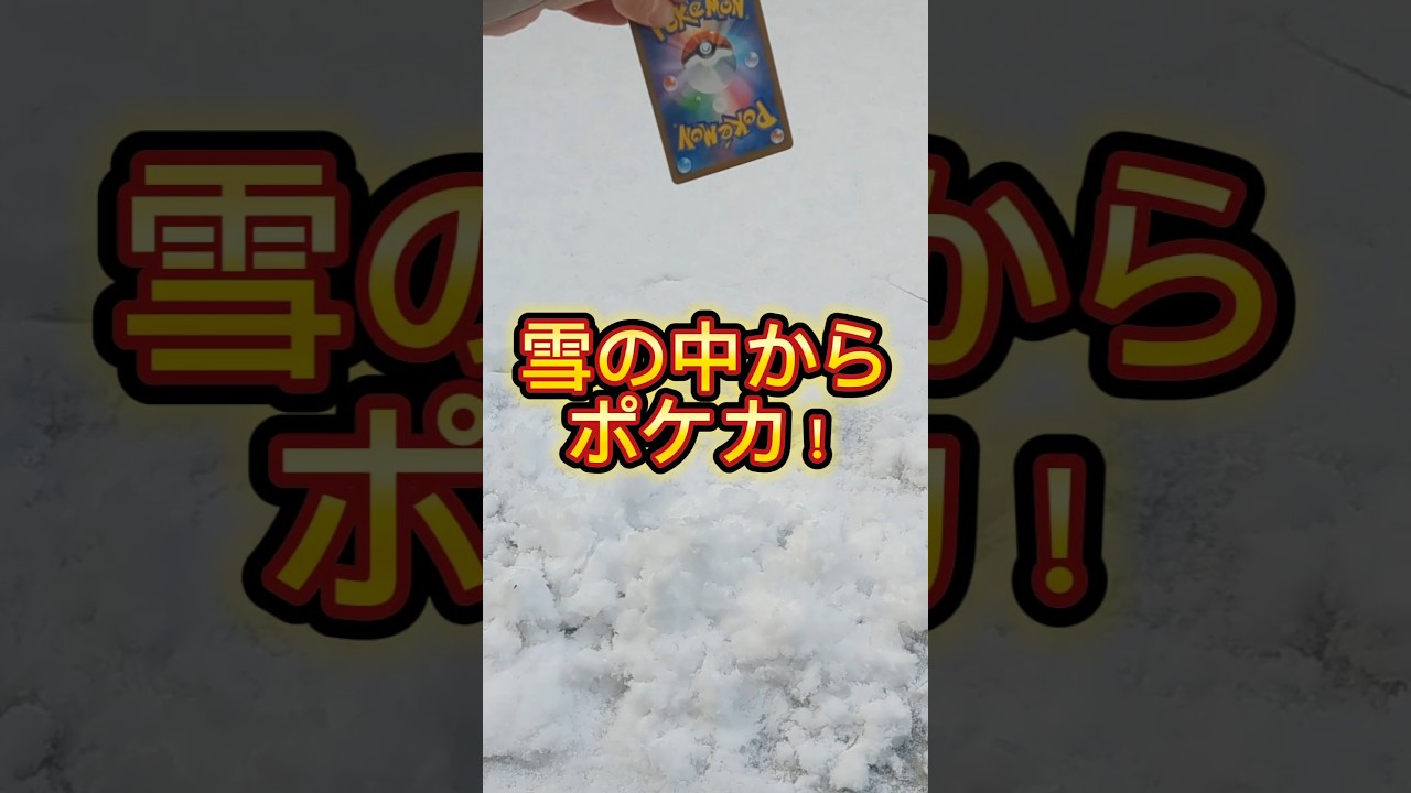 雪の中からポケカ！#ポケカ #ポケモンカード #ポケモン #ポケカ開封 #pokemon #pokemoncards #pokemoncardopening