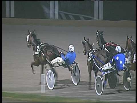 Trotto 03/01/2017 - 6ª corsa