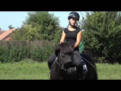 Vajdasági Futam - Temerin