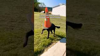 Miniature vidéo