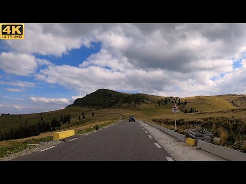 Transbucegi: Cabana Piatra Arsă - Cabana Dichiu