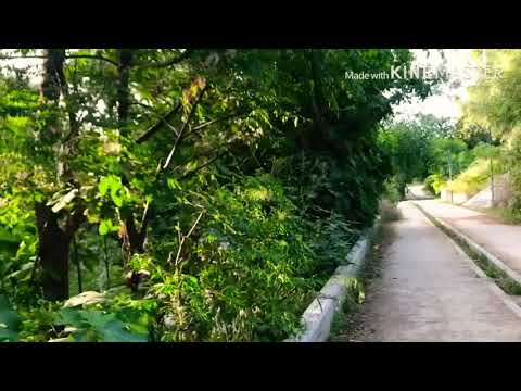 Jardins Municipais de Nicósia