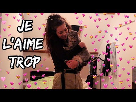 A FAMILY BIRTHDAY ❤️ - Horia