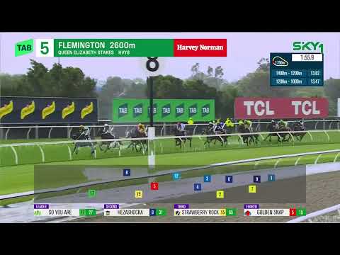 Thumbnail for Queen Elizabeth Stakes 2025 - WHISKY ON THE HILL (Qlty G3) Group 3 Flemington 8 November