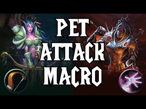 Pet Attack Macro | Make Your Pet Attack When You Attack | For Hunters & Warlocks