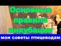 Правила инкубации, мои советы - куры, утки, индюки / птицеводство Правила инкубации, мои советы - куры, утки, индюки / птицеводство