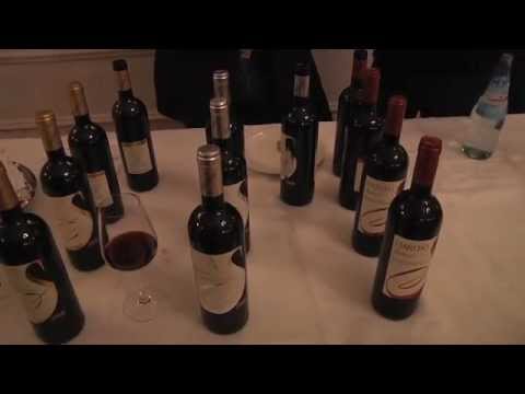 GSTW "Il vino non è uno scherzo": Salustri