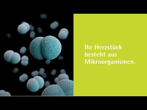 Optimierung der biologischen Abwasserrenigung dank Monitoring der Abwasser-Biozönose