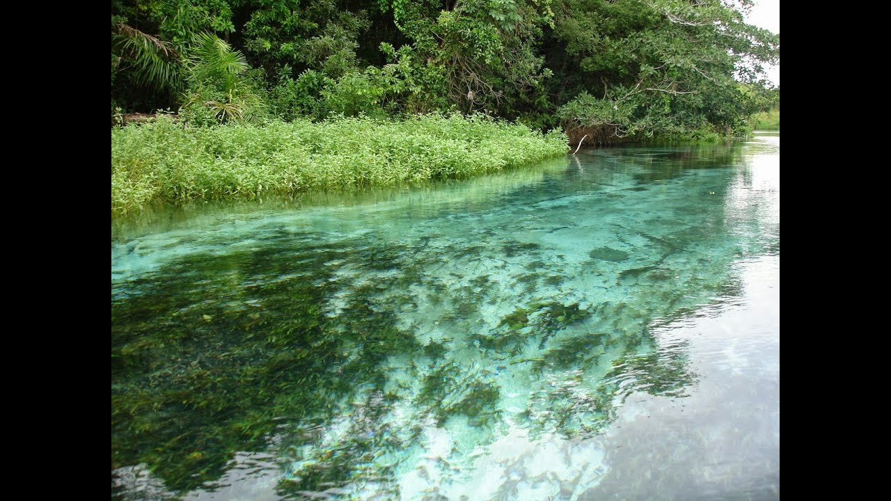 Como recuperar nascentes de água passo a passo