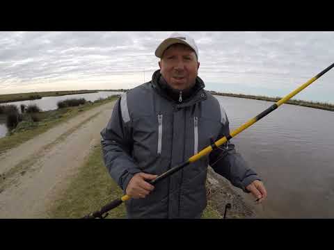 9 de julio en canal 2