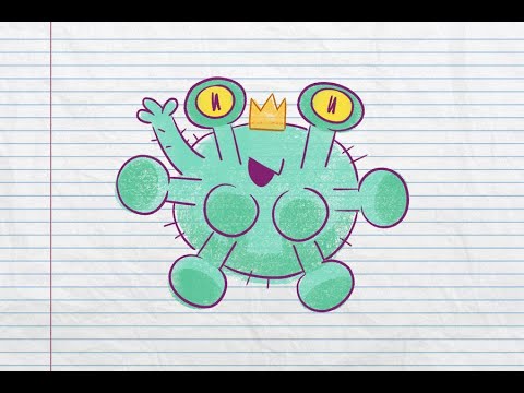 Portada video