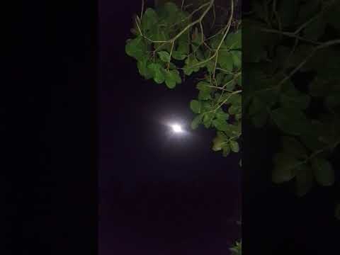 grande lua serrinha Bahia