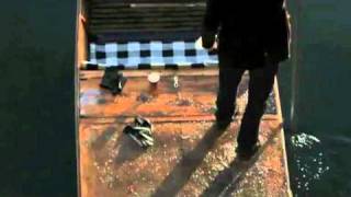 Pj Harvey - Hanging in the wire