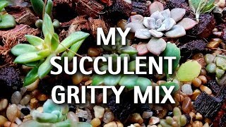 My Succulent Gritty Soil Mix