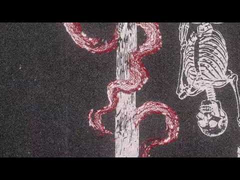 Fantom Freq & MC Kane - Menace (Official Visualizer)