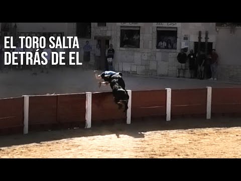 Peñafiel 2023 El Toro Salta la Plaza Detrás de El
