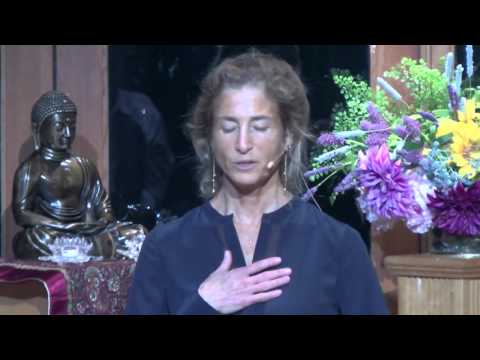 Tara Talks: Healing Fear by Remembering Belonging - Tara Brach