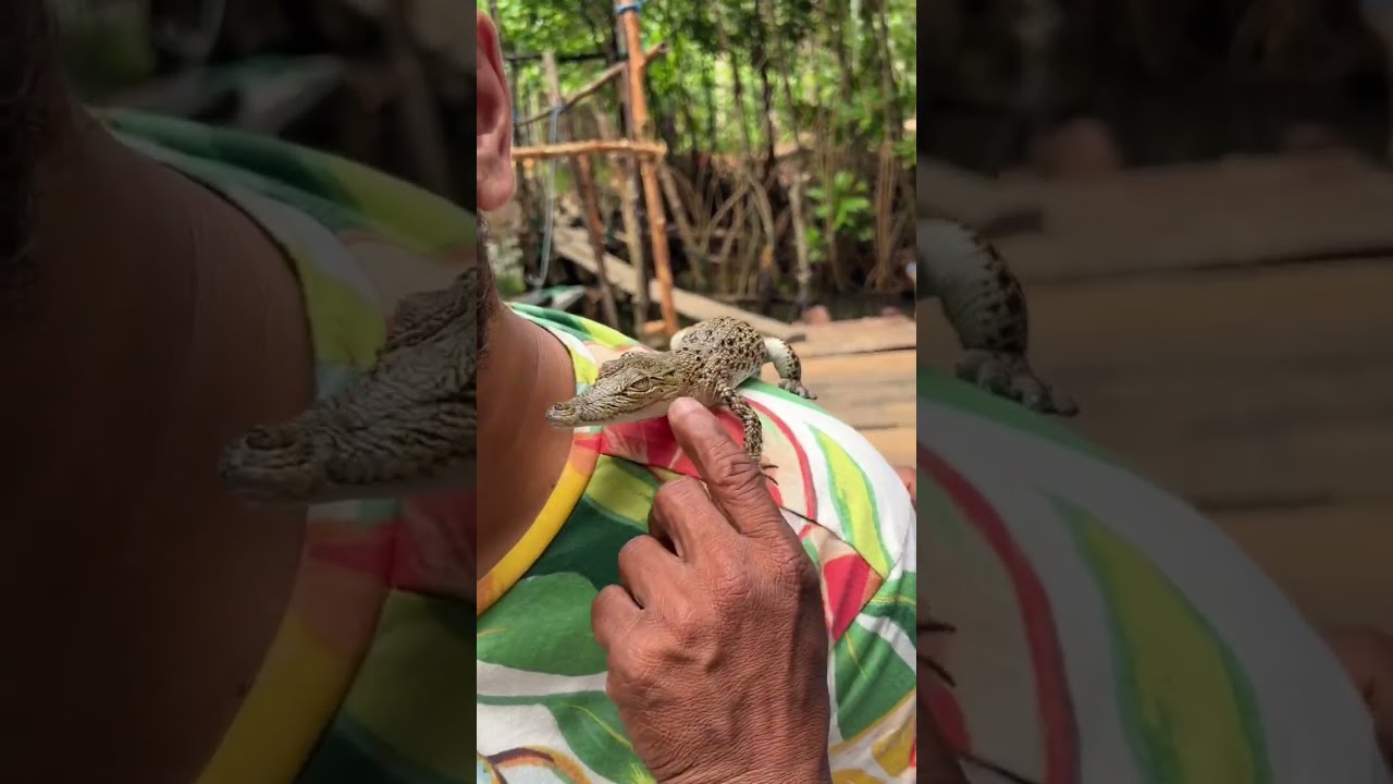 YouTube Short thumbnail