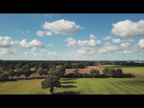 Seeth Ekholt von oben