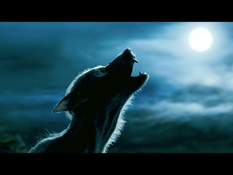 Lupin Transforms into a Werewolf | Harry Potter and the Prisoner of Azkaban