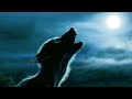 Lupin Transforms Into A Werewolf Harry Potter And The Prisoner Of Azkaban