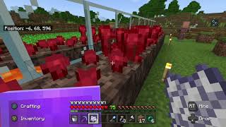 Minecraft How To Make Nether Wart Grow Faster