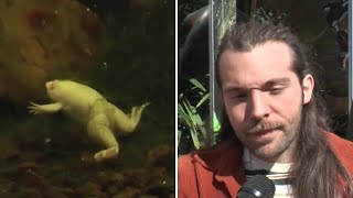 Il Tropicarium Park di Jesolo diventa il set per un docufilm sul sesso grazie alla rana artigliat...