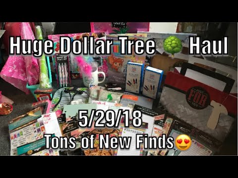 Huge Dollar Tree 🌳 Haul 5/29/18|Tons of New Finds at my Dollar Tree|Notebooks, Decor, Books & More