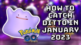 How to CATCH Ditto in January 2023 Pokémon Go Current DITTO Disguises! Top Tips and Tricks!