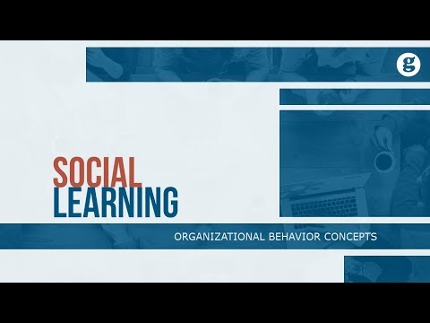 What is Organizational Behavior