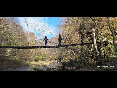 Cheile Vârghișului 2024 Cornel Neștian