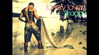 Shaggy - lonely lover