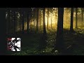 Daylight - Bôa instrumental