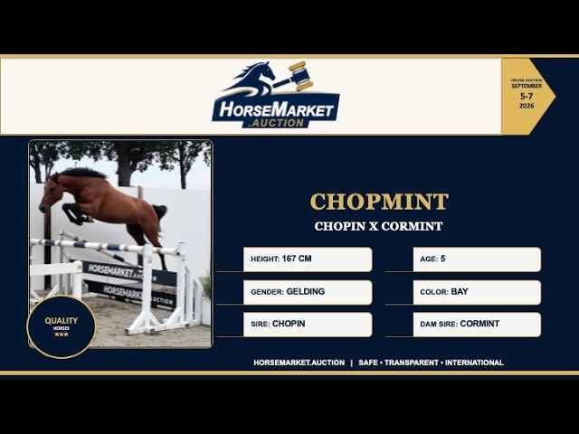 Chopmint