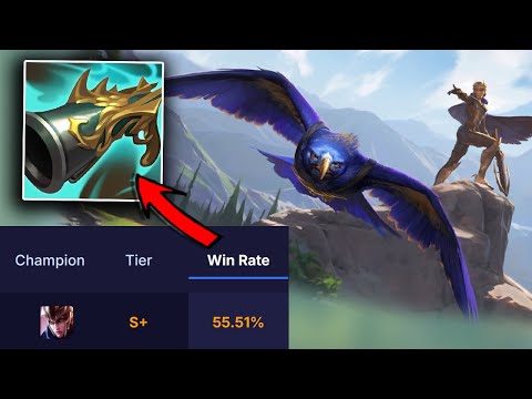 Quinn is S+ Because Of This Item