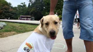 Voluntour #21 - Meeting in Varna, Bulgaria / Rencontre à Varna, Bulgarie !