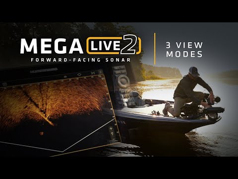 MEGA Live 2 Forward-Facing Sonar: 3 View Modes | Humminbird